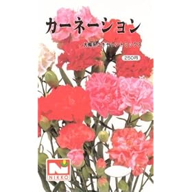 �y��q�z�J�[�l�[�V�����E��֌n�G�L�Z�����g�~�b�N�X [0245]