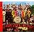 Sgt. Pepper's Lonely Hearts Club Band