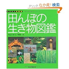 �c��ڂ̐������}�� (���}�P�C���)