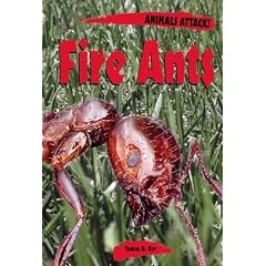 Fire Ants (Animal Attacks)