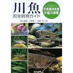 �싛���S����K�C�h�\���{�Y�W�����̖��͖���