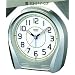 CASIO (�J�V�I)  �X���[�Y�b�j�ڊo�܂����v �l�I�u���C�g�̗p �X�k�[�Y�@�\�t�� �V���o�[ TQ-217-8JF