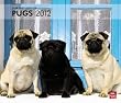 For the Love of Pugs 2012 Calendar
