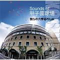 Sounds of �b�q������~���̘Z�b���낵~��