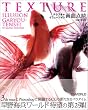 �e�N�X�`���C�����[�W���� �旴�_�� (CG WORLD SPECIAL BOOK)