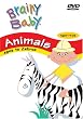 Brainy Baby - Animals / Children [DVD] [Import]