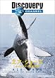 �f�B�X�J�o���[�`�����l�� �G�A�E�W���[�Y -�z�I�W���U�����n��- [DVD]