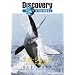 �f�B�X�J�o���[�`�����l�� �G�A�E�W���[�Y -�z�I�W���U�����n��- [DVD]