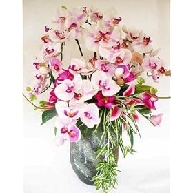 �y�Ӓ����@�ƃJ�T�u�����J�z�̍��؂ȃA�����W�@�s���N�@�V���N�t�����[�@�iCT�G�}���H�j�@�V�z�j���E�J�X�j���@�ɍD�K