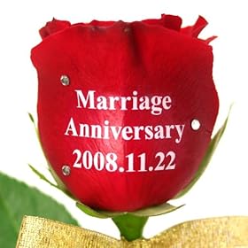 【クリックで詳細表示】フローリッシュ メッセージローズ (生花) レッド 1本 ラインストーン 申込みキット 18596