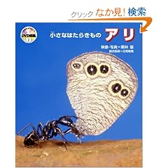 ���R�Ȃ��Ȃ�?DVD�}��2 �����Ȃ͂��炫���� �A��