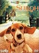 �r�[�O���� �V���C�� ���ʔ� [DVD]