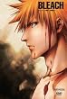 BLEACH �o�E���g�E�����E���P��1�q���S���Y����Łr [DVD]