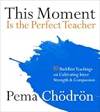 [Book] This Moment Is the Perfect Teacher: Ten Buddhist Teachings on Cultivating Inner Strength and Compassion