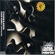 CODE NAME1.BROTHER SUN