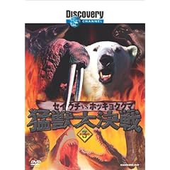ディスカバリーチャンネル 猛獣大決戦 Round3 セイウチvsホッキョクグマ