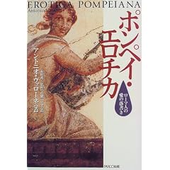 �|���y�C�E�G���`�J�\���[�}�l�̈��̗�����