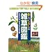 �`�Ƃ��炵�̎G���}�Ӂ\��������A280�� (��O�ώ@�n���h�u�b�N)