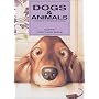 �n�b�s�[�|�X�g�J�[�h DOGS&ANIMALS
