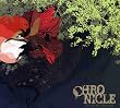 Chronicle