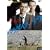 �p���_�C�X�E�i�E [DVD]