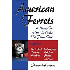 American Ferrets