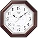 CASIO (�J�V�I) �|�����v �A�i���O IQ-123-5JF �A�i���O�^�C�v