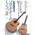 �\���M�^�[�̂���� �X�^�W�I�W�u����i�W  ���̒J�̃i�E�V�J����n�E���̓�����܂�(CD�t)