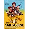 ���C���h��M�[�X [DVD]