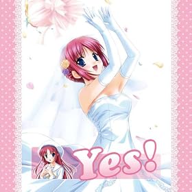 D.C.I.F.~�_�E�J�[�|~�C�m�Z���g�t�B�i�[�� YesNo�N�b�V����
