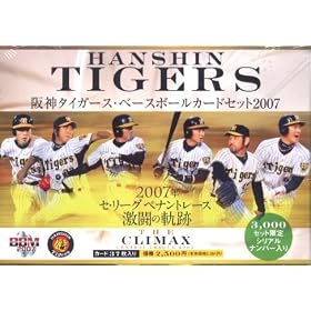 ��_�^�C�K�[�X 2007�N�y�i���g���[�X�����̋L�^~THE CLIMAX~