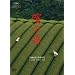 �q�̐X [DVD]