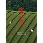�q�̐X [DVD]