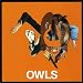 Owls