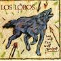 How Will the Wolf Survive?