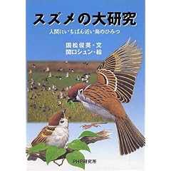 �X�Y���̑匤�� (�m���t�B�N�V�������m�ւ̂Ƃт�V���[�Y)