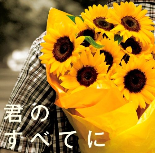  君のすべてに