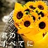 Spontaniaのアルバムの画像