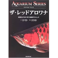 �U�E���b�h�A�����i�\�g�������Ԃ���Ă鎔��e�N�j�b�N (�A�N�A���E���E�V���[�Y)