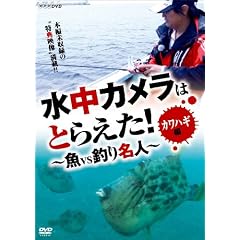 �����J�����͂Ƃ炦��! ��VS�ނ薼�l �J���n�M�� [DVD]