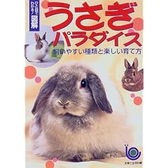 �ЂƖڂł킩��!�}�� �������p���_�C�X�\�����₷����ނƊy������ĕ�