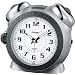 CASIO (�J�V�I) �ڊo�����v �A�i���O TQ-645-8JF