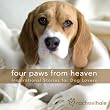 Four Paws from Heaven