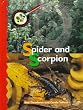 Spider and Scorpion (Discover the Difference)