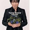Tussie mussie