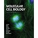 ���̃��}���ƃT�C�G���X-centrosome, chromosome & cancer-