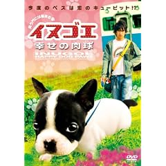 �C�k�S�G�@�K���̓��� �f���b�N�X�� [DVD]