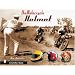 The Motorcycle Helmet: The 1930s-1990s