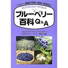 �u���[�x���[�S��Q&A�\�w���V�[�ʎ��̓����E�͔|�E���p���H