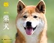 2010�Č�(Yama-Kei Calendar)